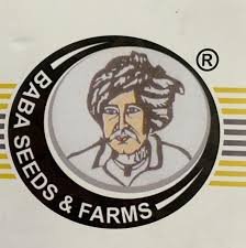 Baba Seed Website